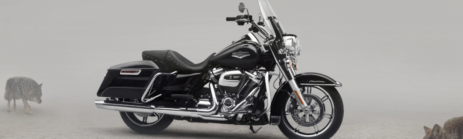 2021 Harley-Davidson® Road King® for sale in Kauai Motorsports, Lihue, Hawaii